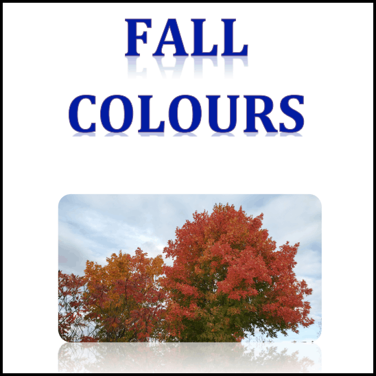FallColours-Cover
