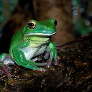 david-clode-q8-m4cp0BcQ-unsplash